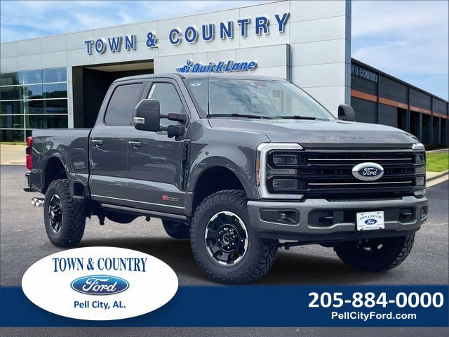 New 2026 Gray Ford Platinum image 23
