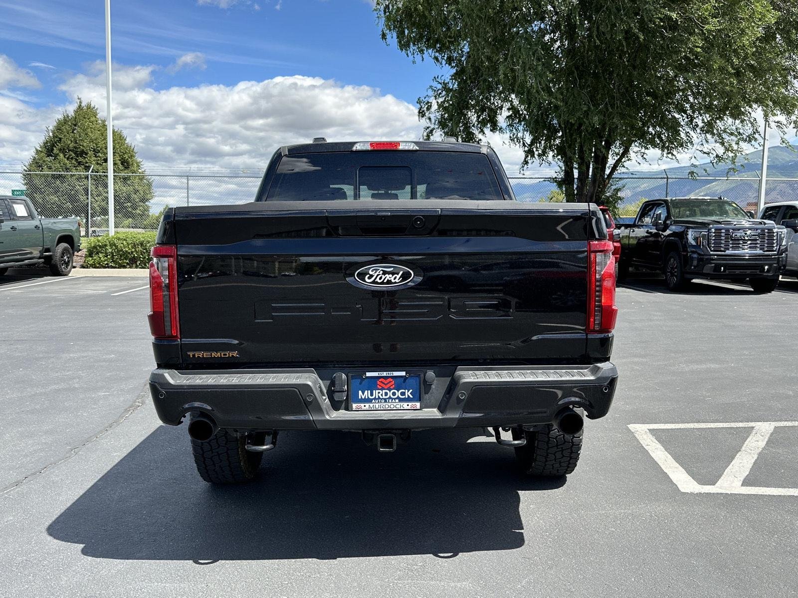 2025 Ford F-150 Tremor - Photo 18