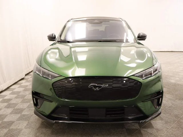 New 2026 Eruption Green Metallic Ford Premium image 4