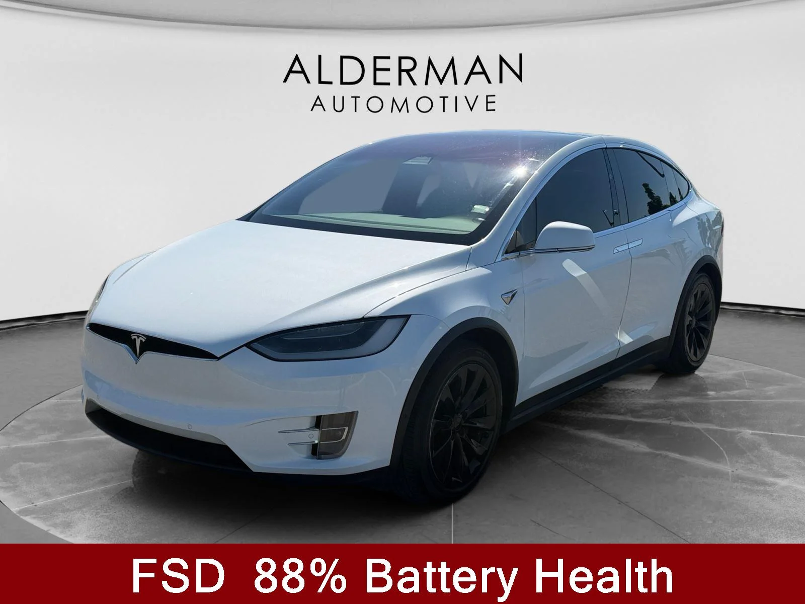 2018 Tesla Model X 100D's photo