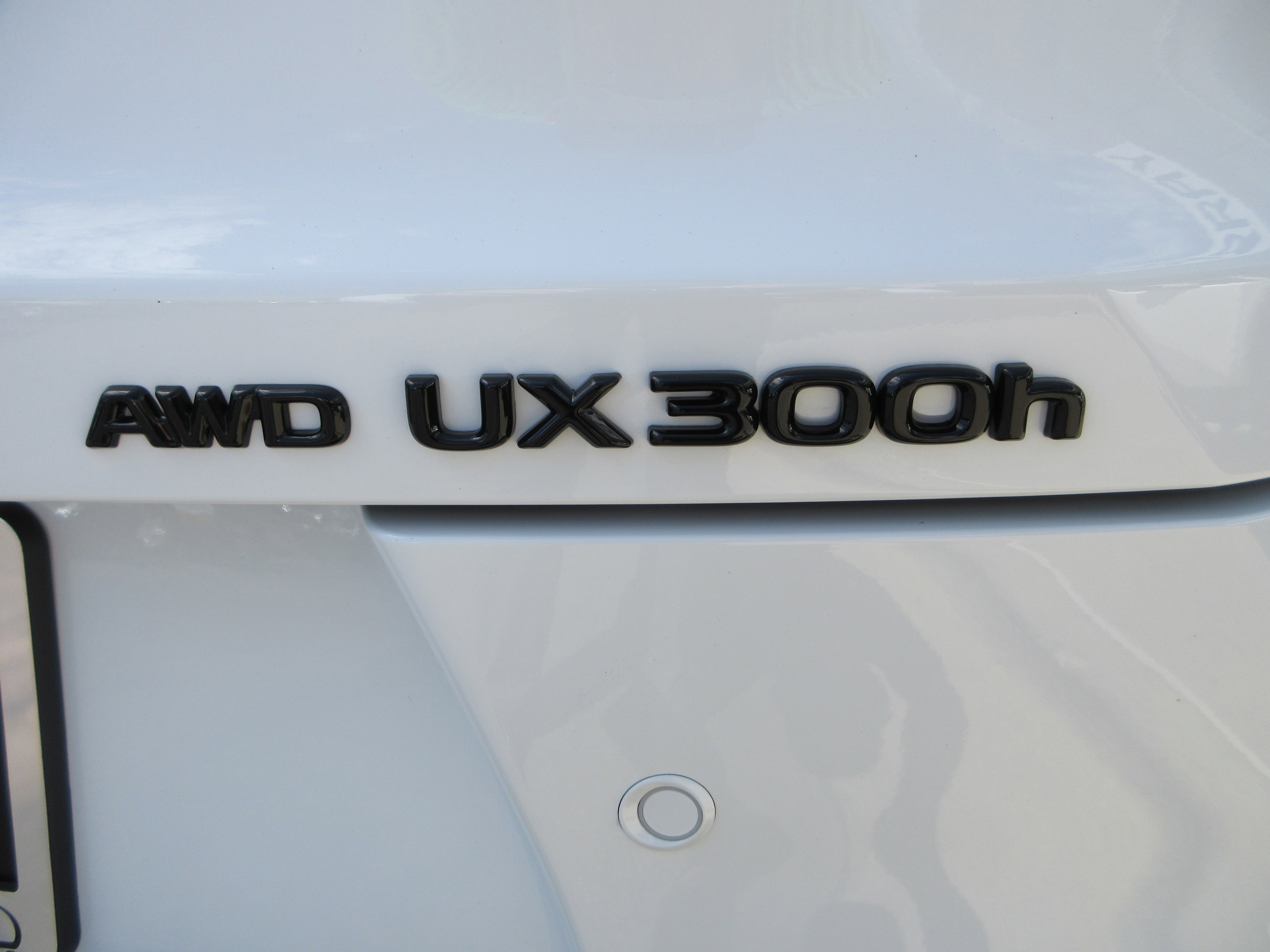 New 2026 Ultra White with Obsidian roof Lexus F SPORT DESIGN AWD image 9