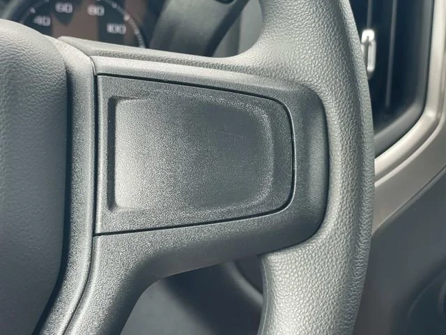 New 2026 Cypress Gray Chevrolet Custom Trail Boss image 21