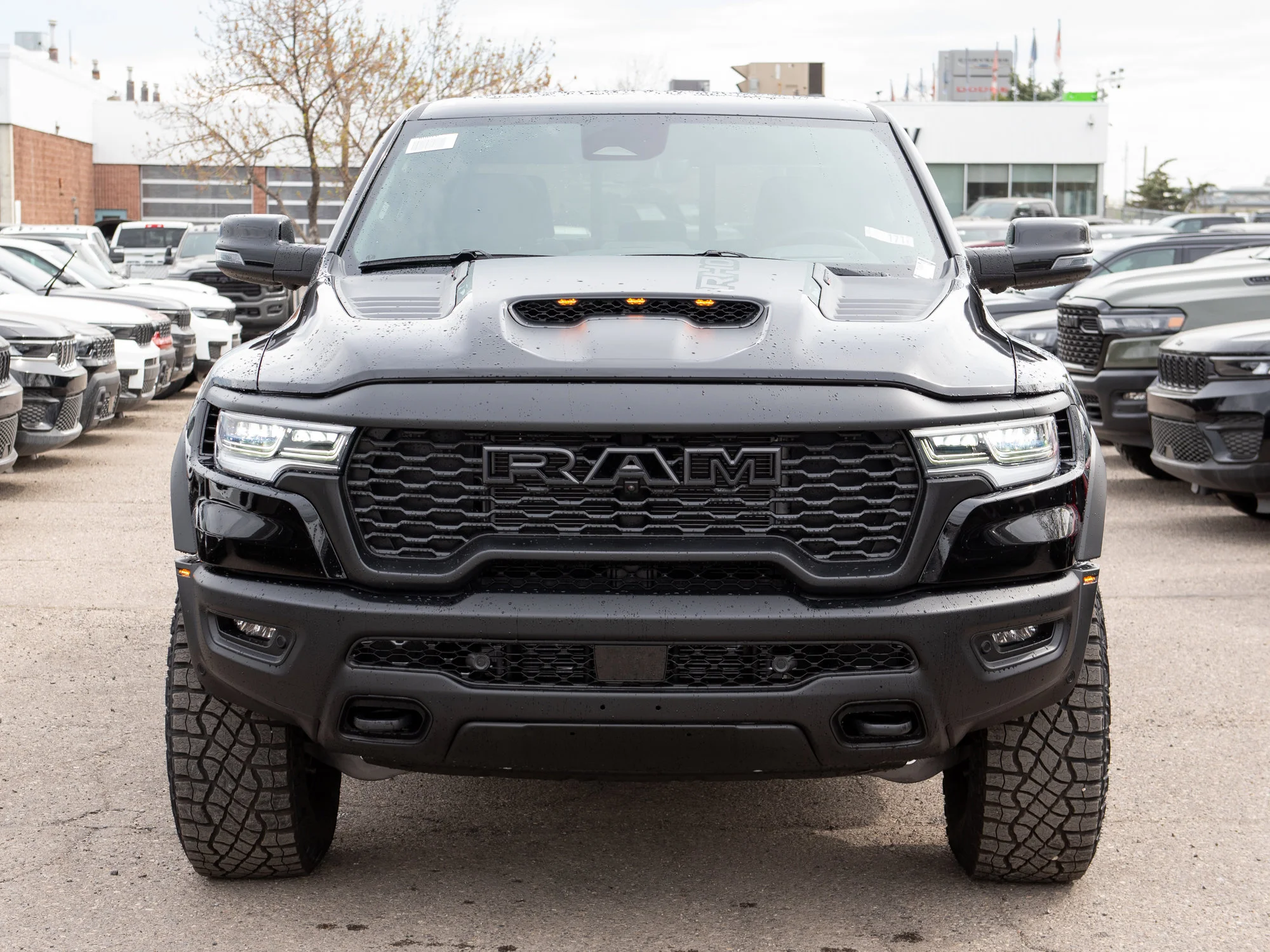 New 2026 Black RAM RHO image 11
