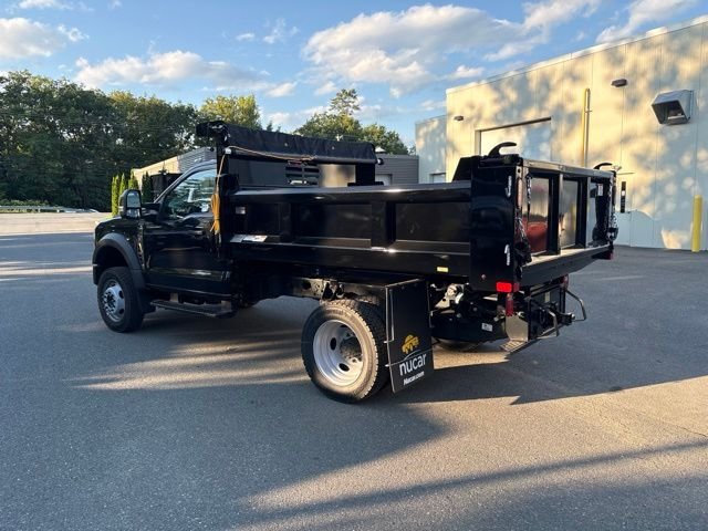 New 2026 Black Ford XL image 5