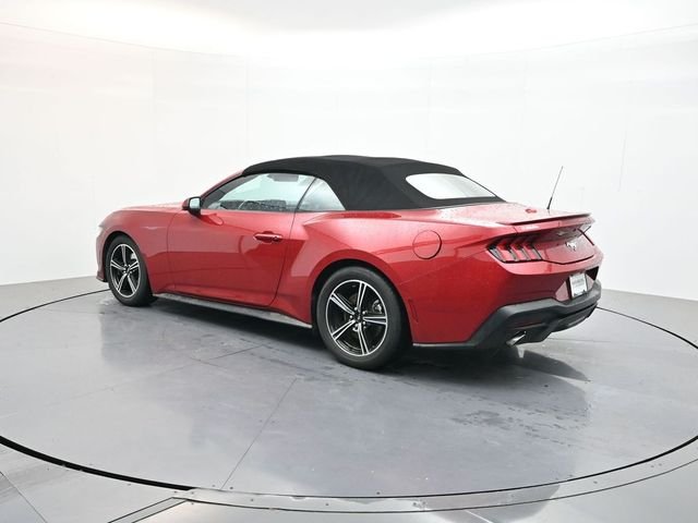 Used 2024 Red Ford EcoBoost Premium image 5