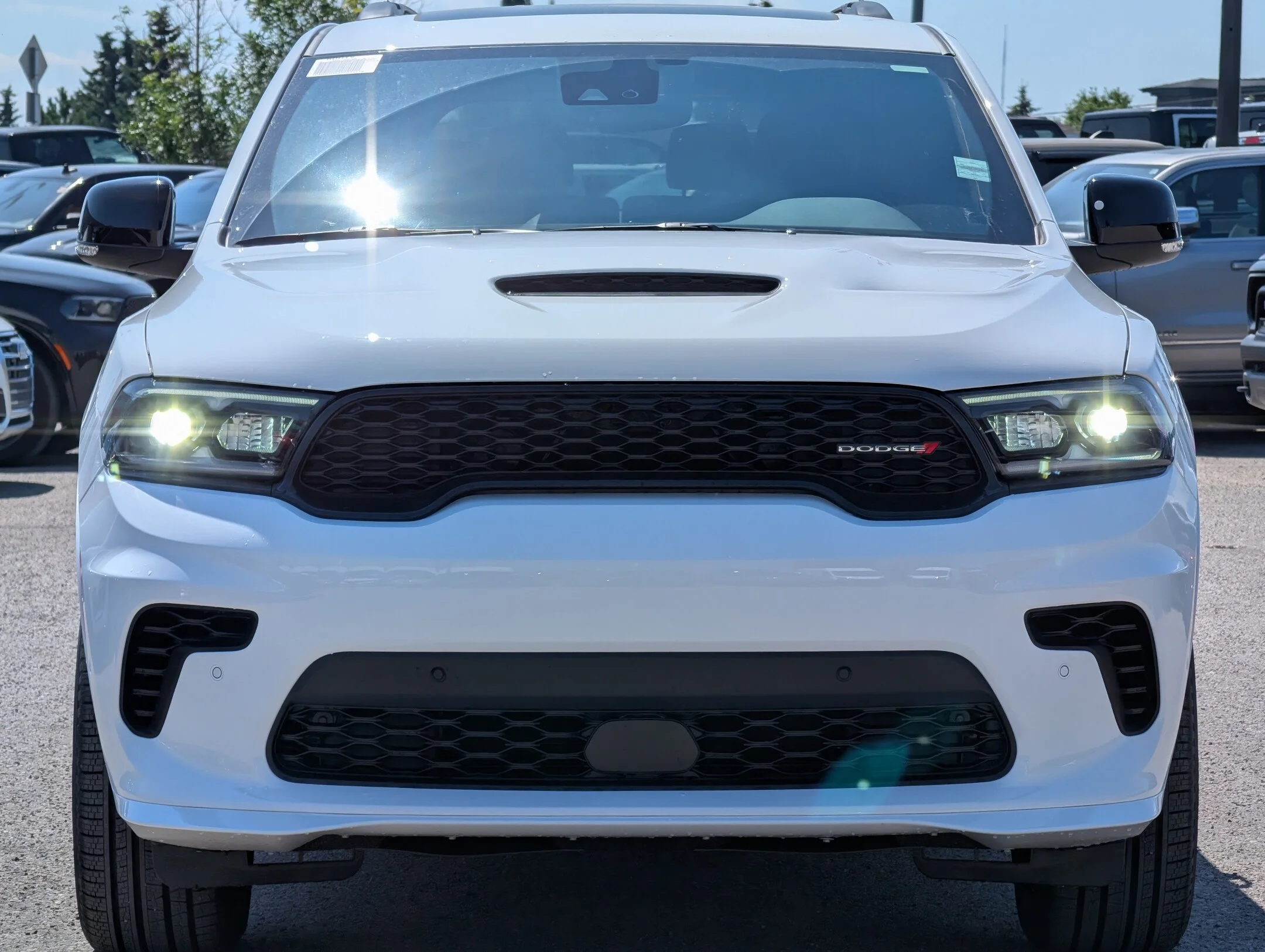 New 2026 White Dodge GT Plus - - Blacktop Redline Pkg - SRT Leather Perf Seats - Pkg 2BH - Ventilated Seats & More! image 3
