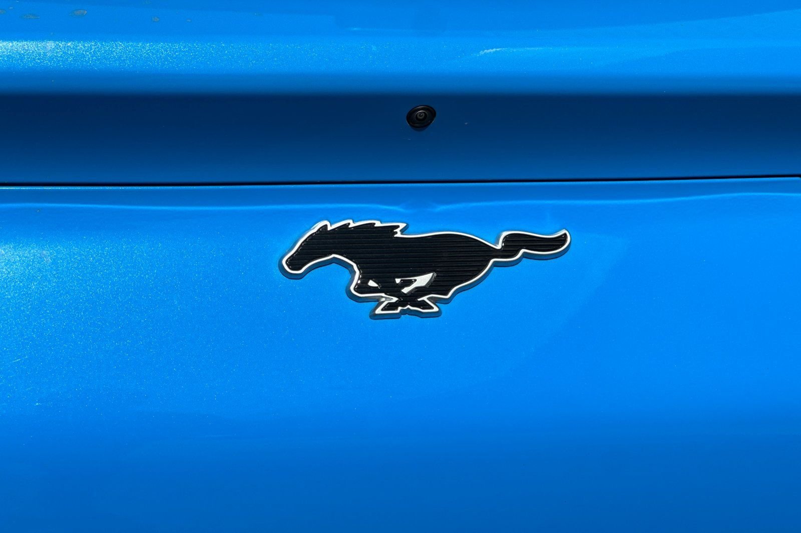 Used 2023 Blue Ford Premium image 31