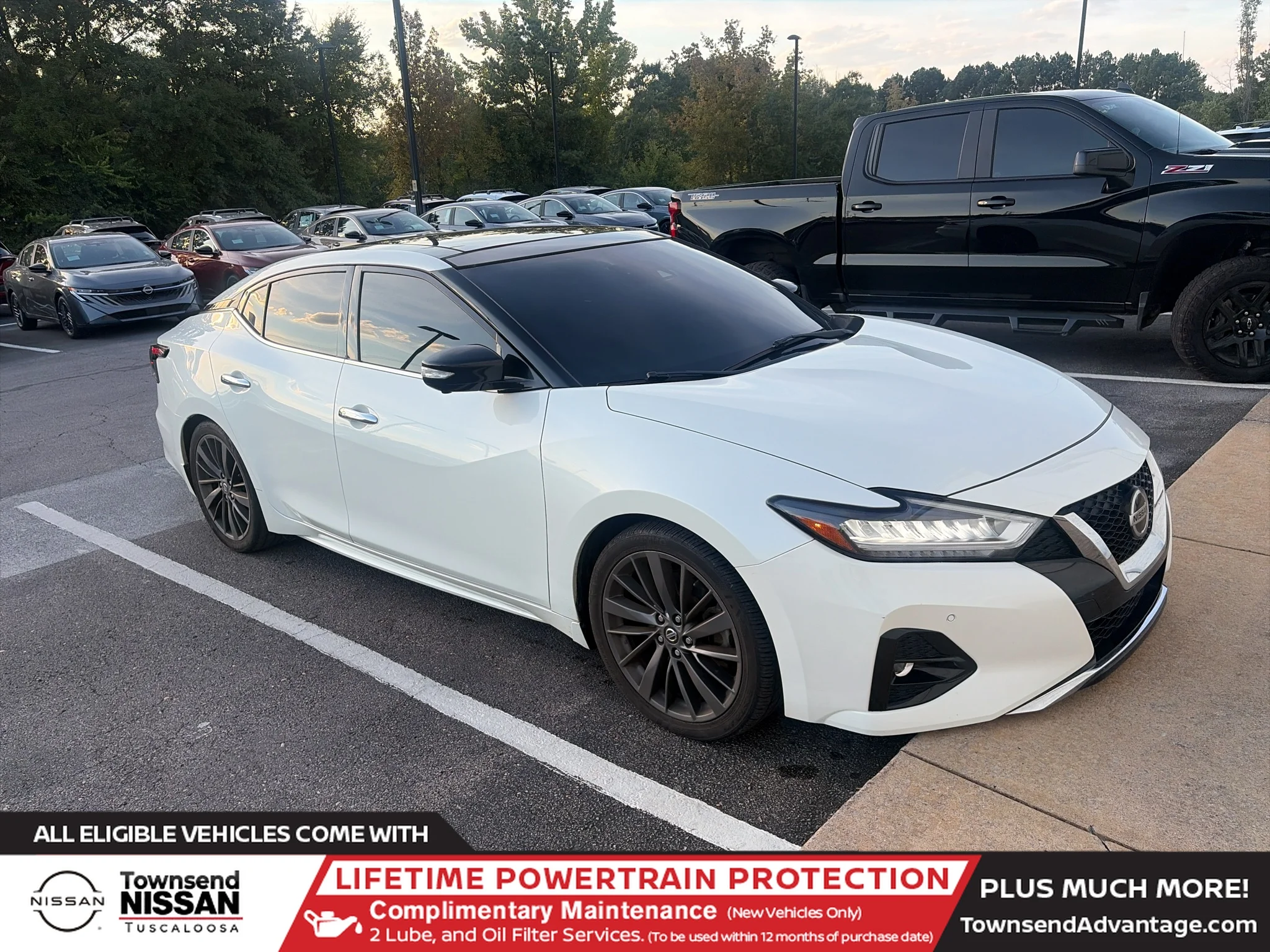 2020 Nissan Maxima