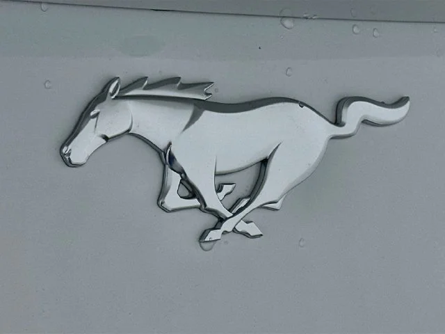 New 2026 White Ford EcoBoost image 21