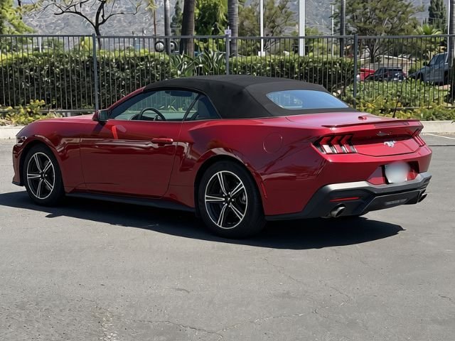 Used 2024 Red Ford EcoBoost Premium image 5