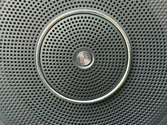 Used 2018 Black Ford Limited image 20
