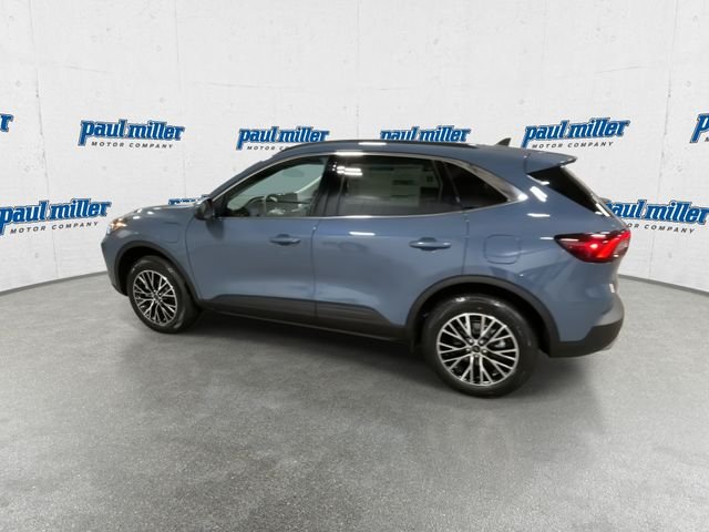 New 2026 Blue Ford Base image 7