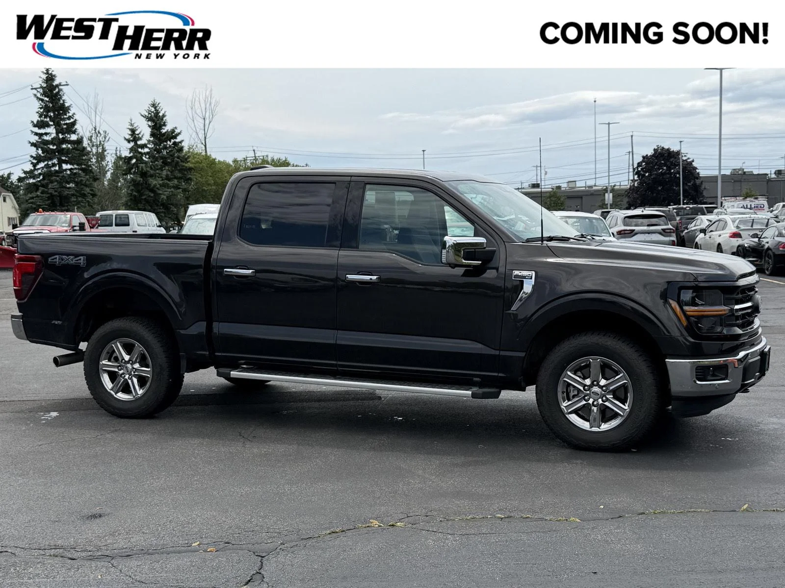 Used 2024 Darkened Bronze Ford XLT image 1