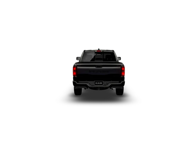 New 2026 Diamond Black Crystal Pearl-Coat Exterior Paint RAM Express image 6