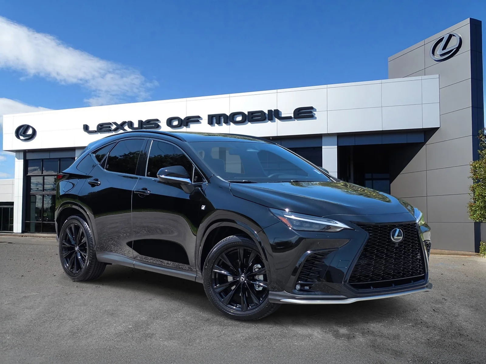 2024 Lexus NX 450h+ 450+ F-Sport AWD's photo