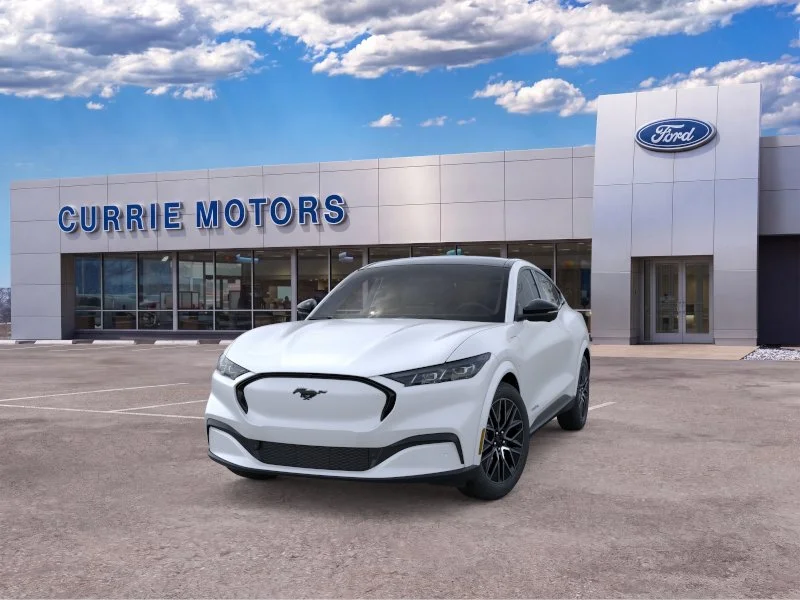 New 2026 Star White Metallic Tri-coat Ford Premium image 24