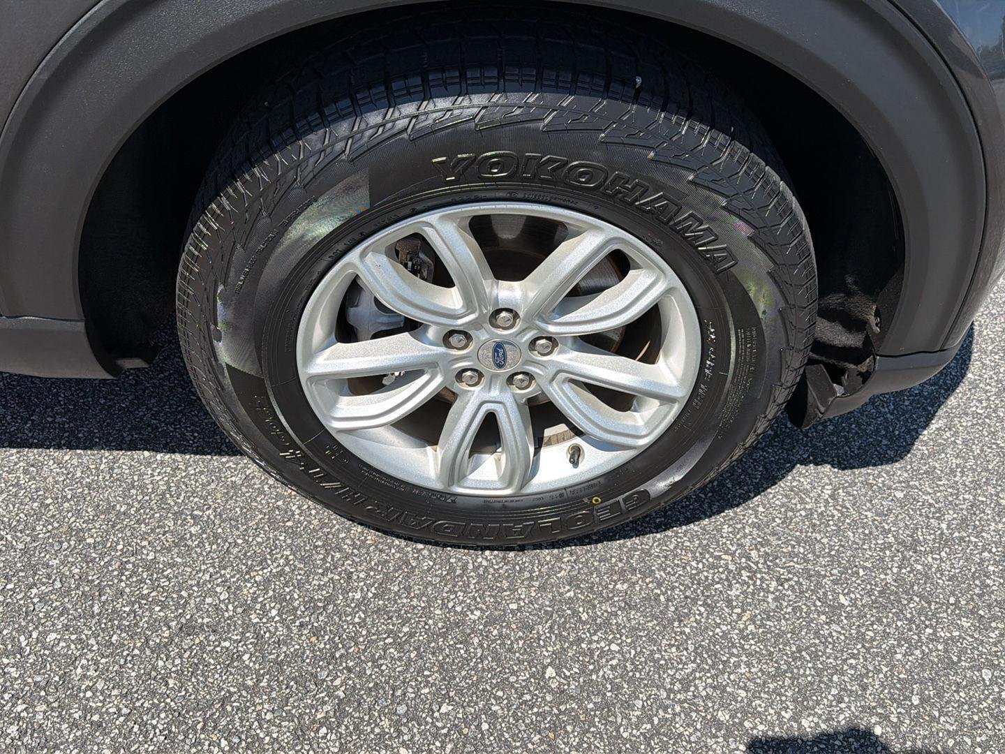 Used 2020 Magnetic Ford Base image 38