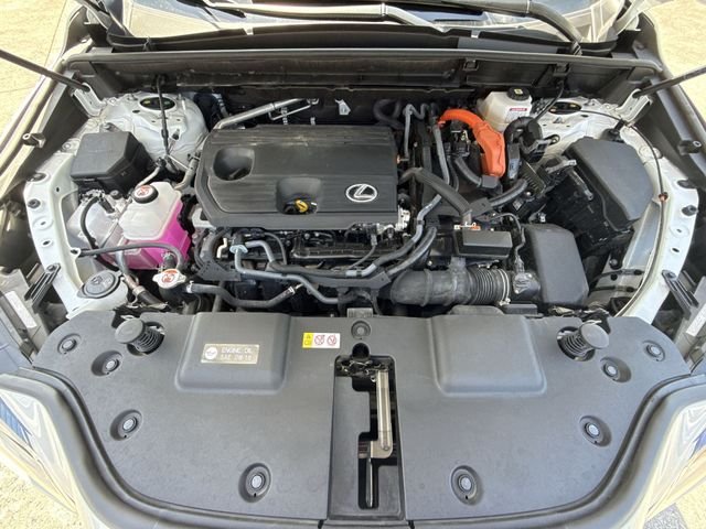 2025 Lexus NX Hybrid 350h - Photo 27
