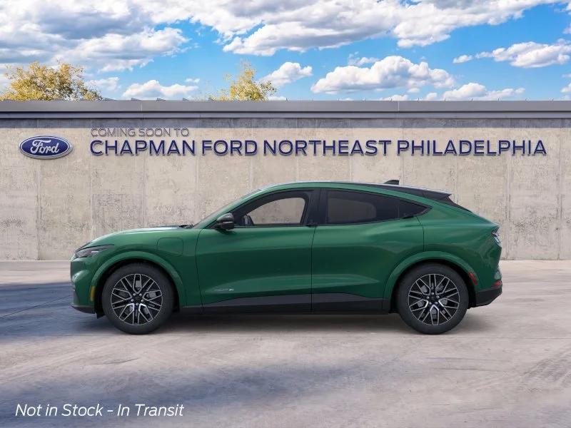 New 2026 Eruption Green Metallic Ford Premium image 3