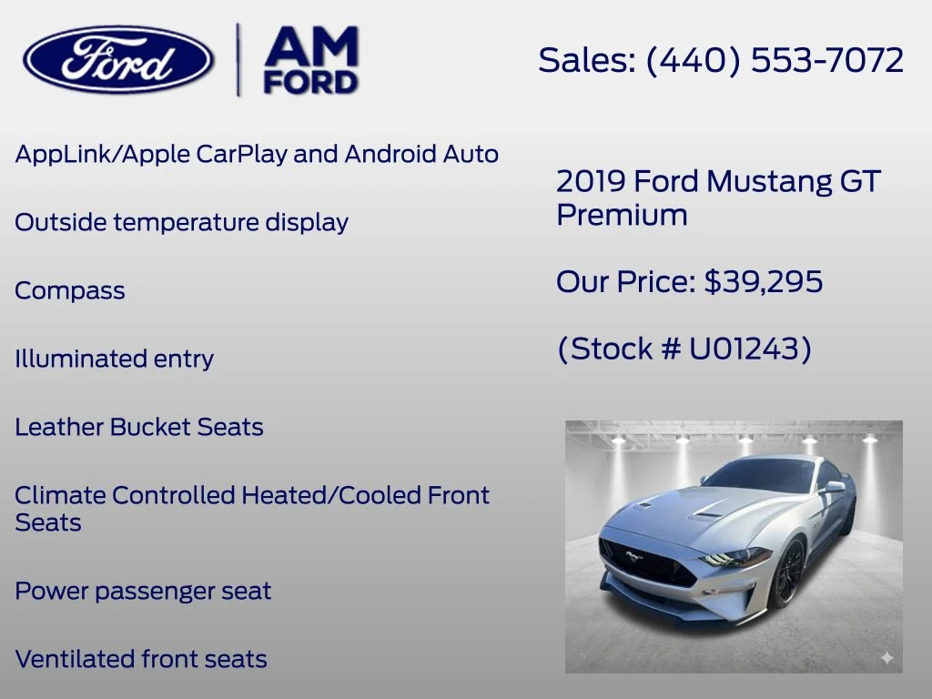 Used 2019 Ingot Silver Ford GT Premium image 33