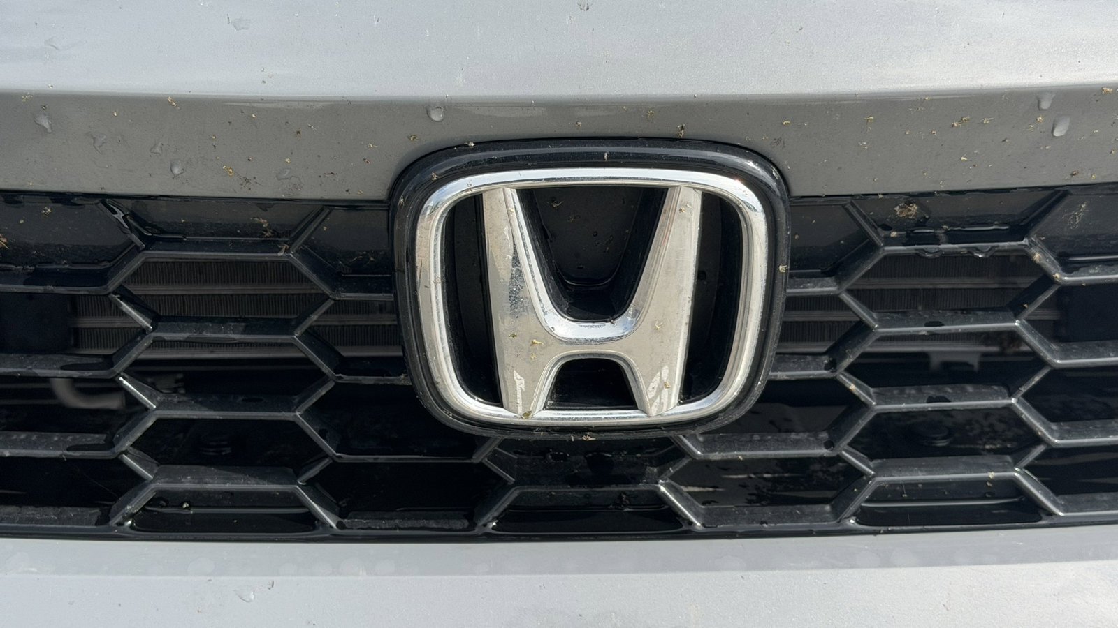Certified Used 2026 Gray Honda Sport image 15