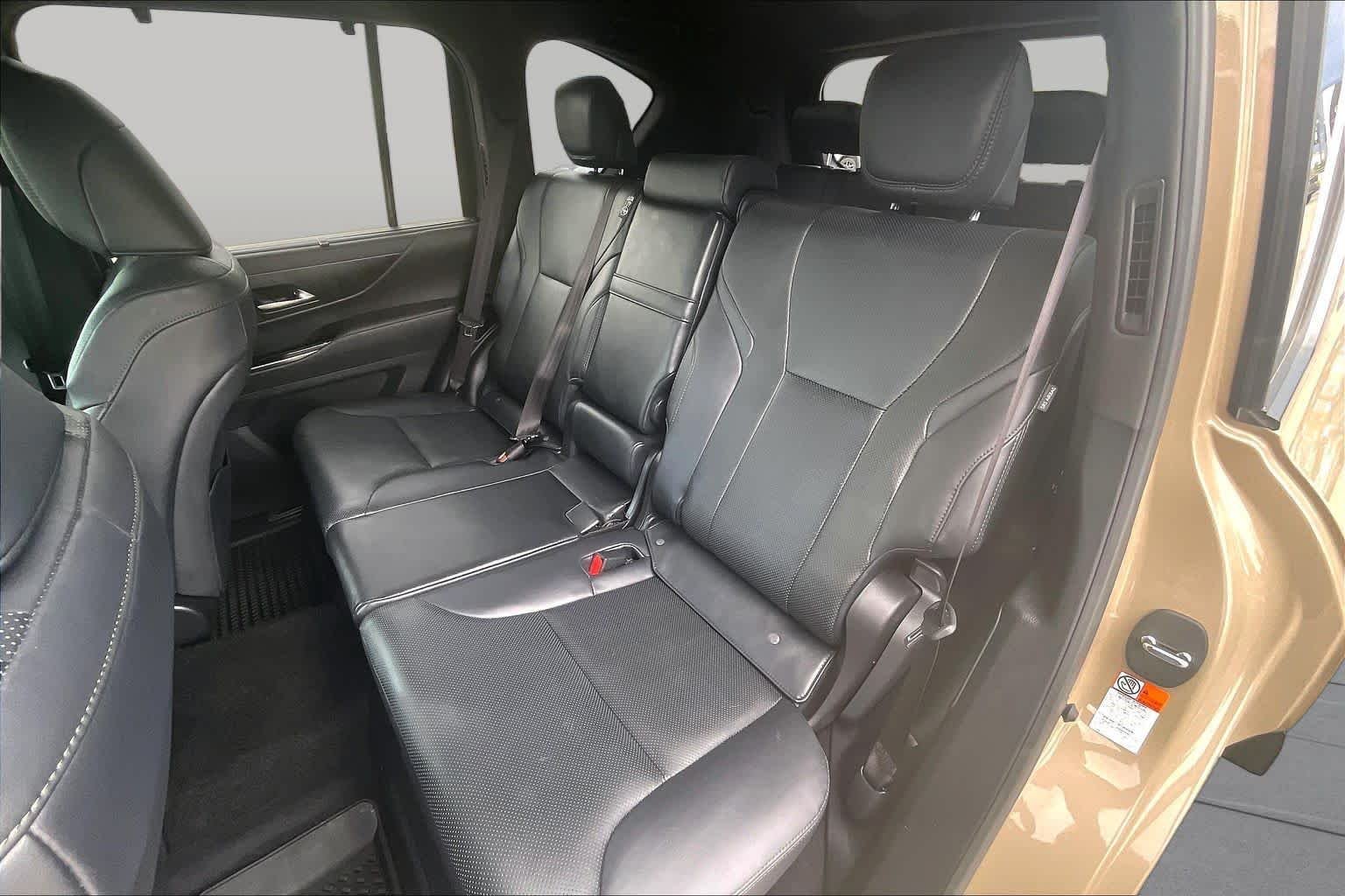 Used 2025 Earth Lexus Overtrail image 19
