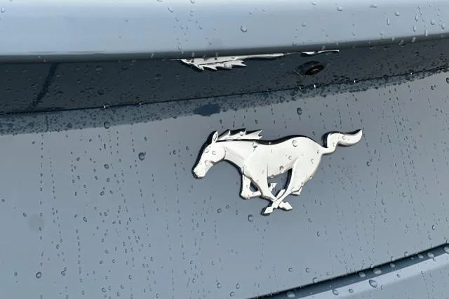 New 2026 Vapor Blue Metallic Ford EcoBoost® Fastback image 43