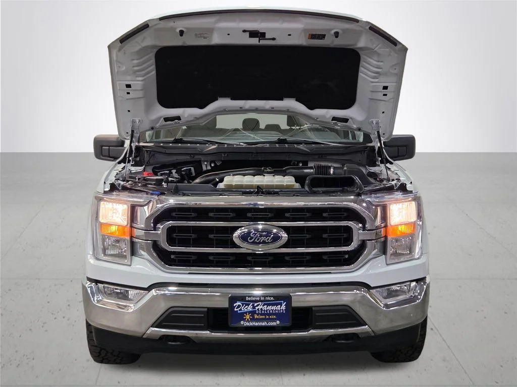 Used 2023 White Ford XLT image 5