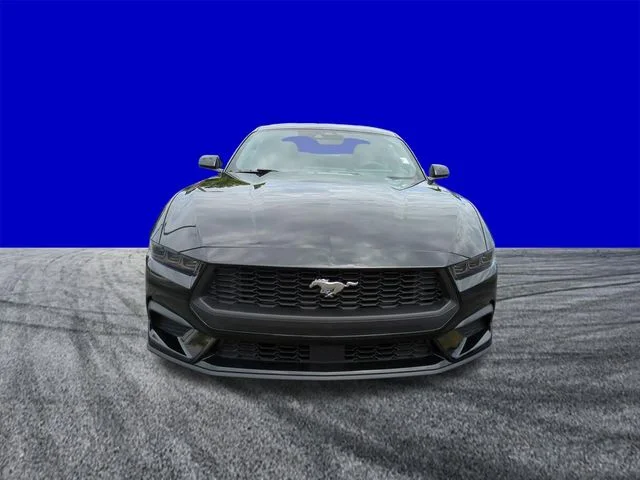 New 2026 Black Ford EcoBoost image 9