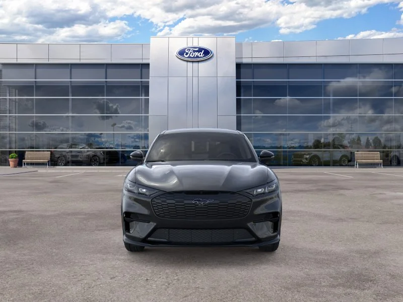 New 2026 Shadow Black Ford Premium image 23