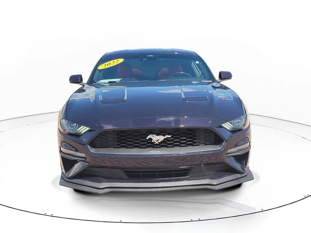 Used 2022 Purple Ford EcoBoost Premium image 2