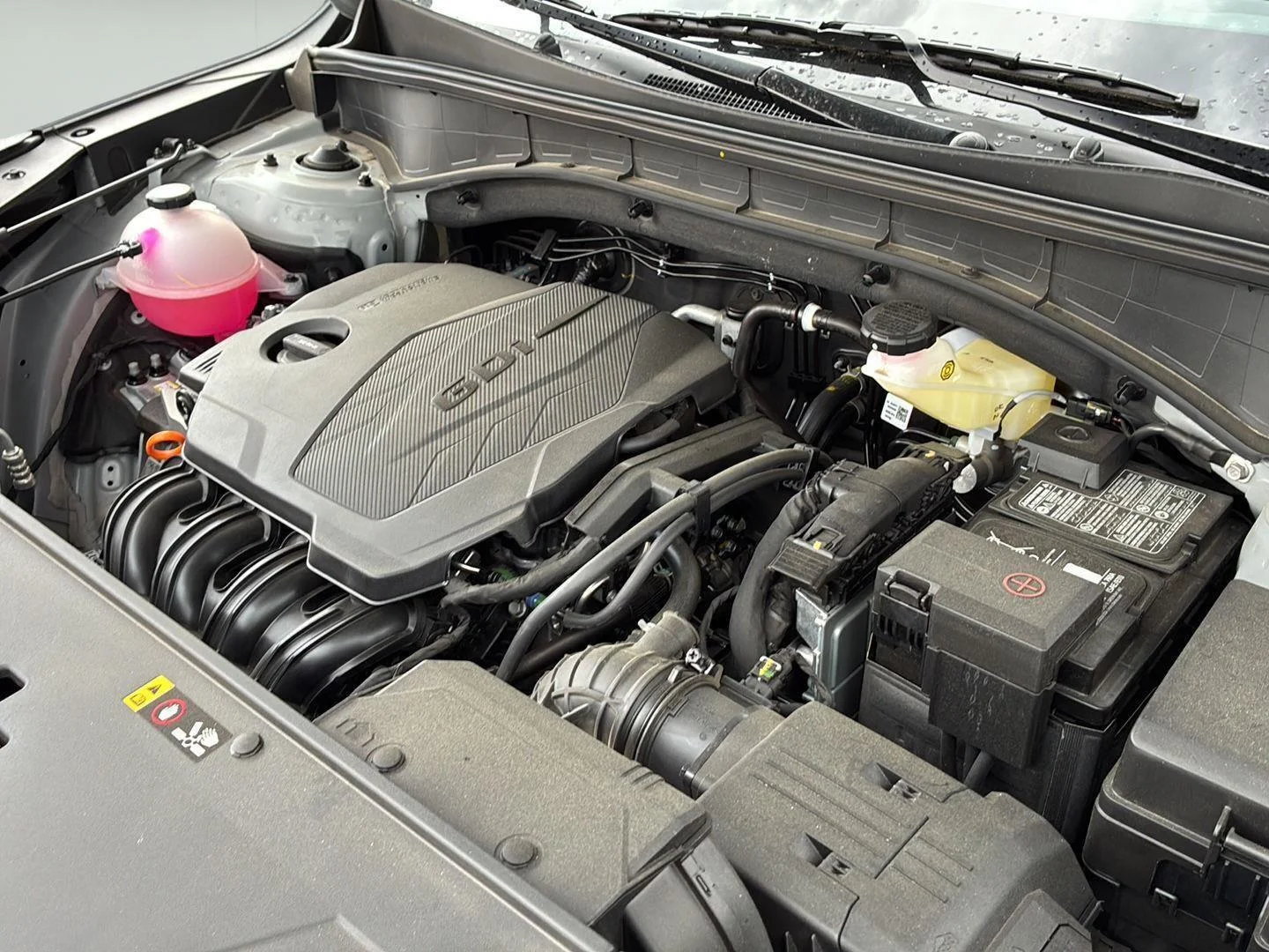 Used 2026 Wolf Gray Kia S image 18
