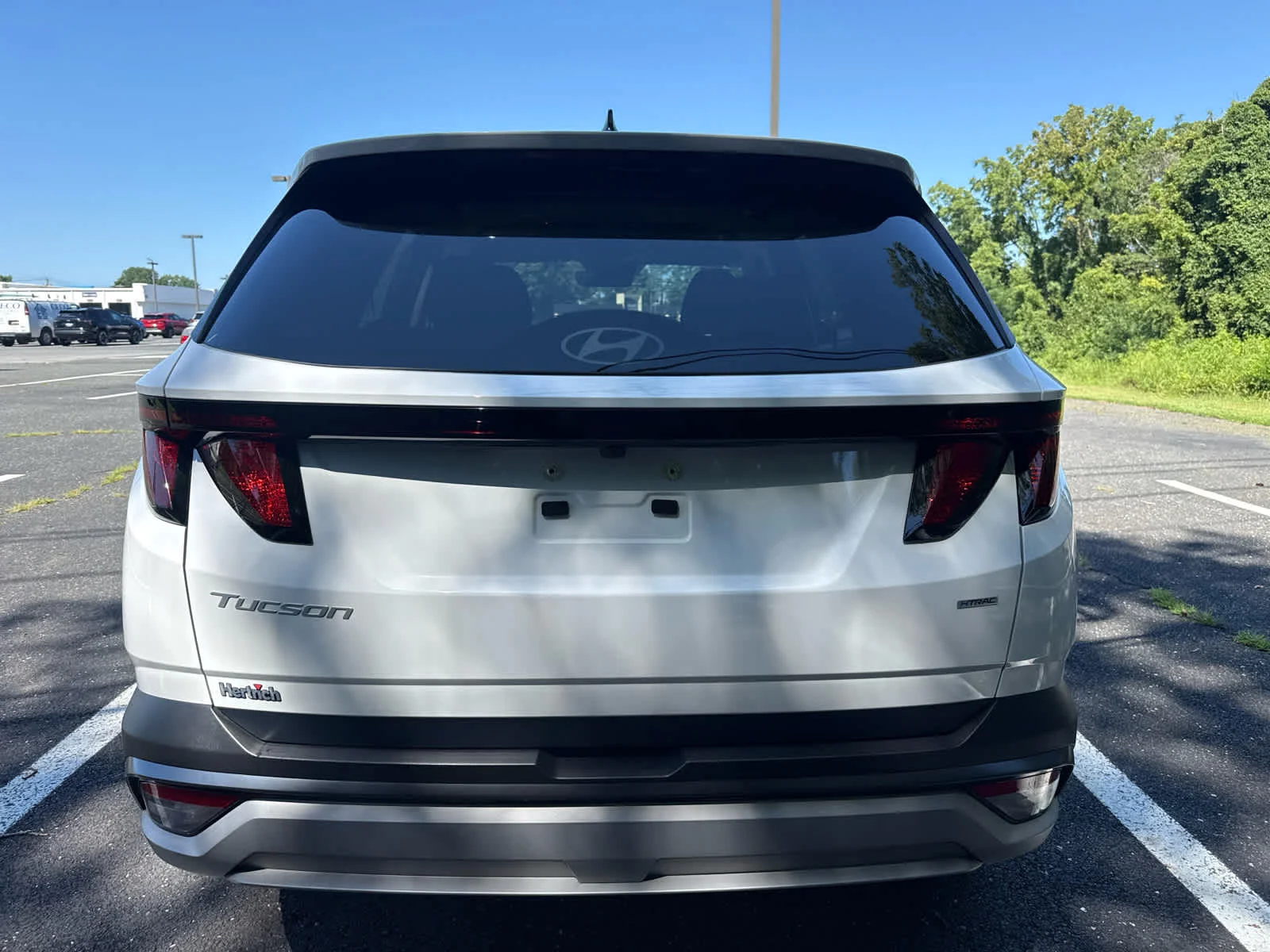 Used 2025 Serenity White Pearl Hyundai SEL image 4