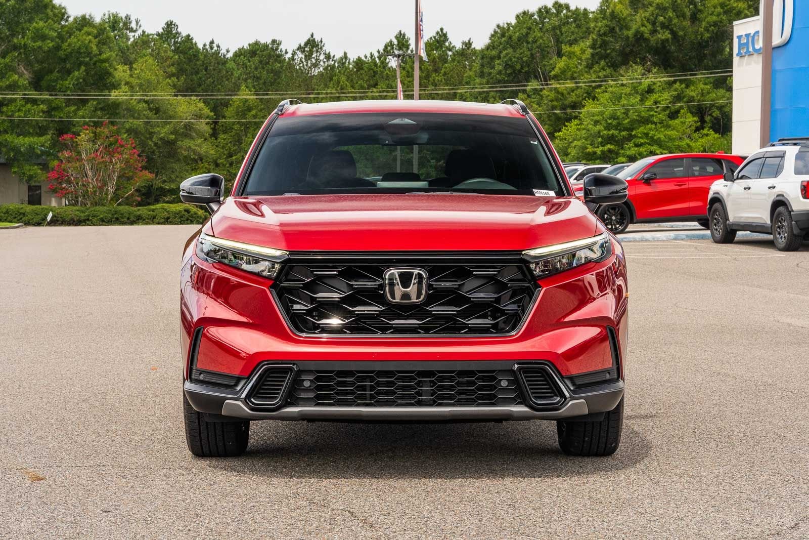 Used 2025 Red Honda Sport-L image 2