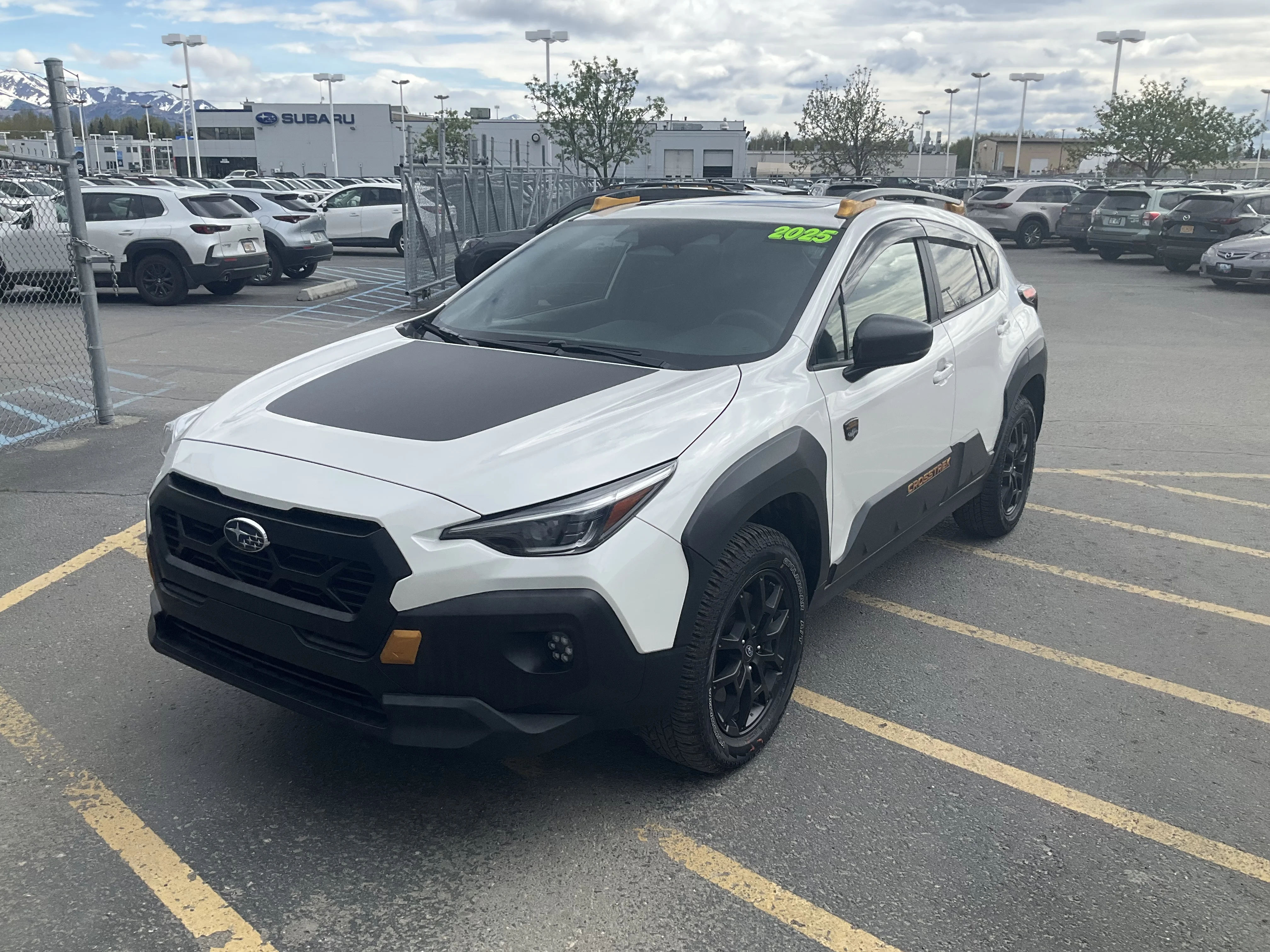 Used 2025 Crystal White Pearl Subaru Wilderness image 1