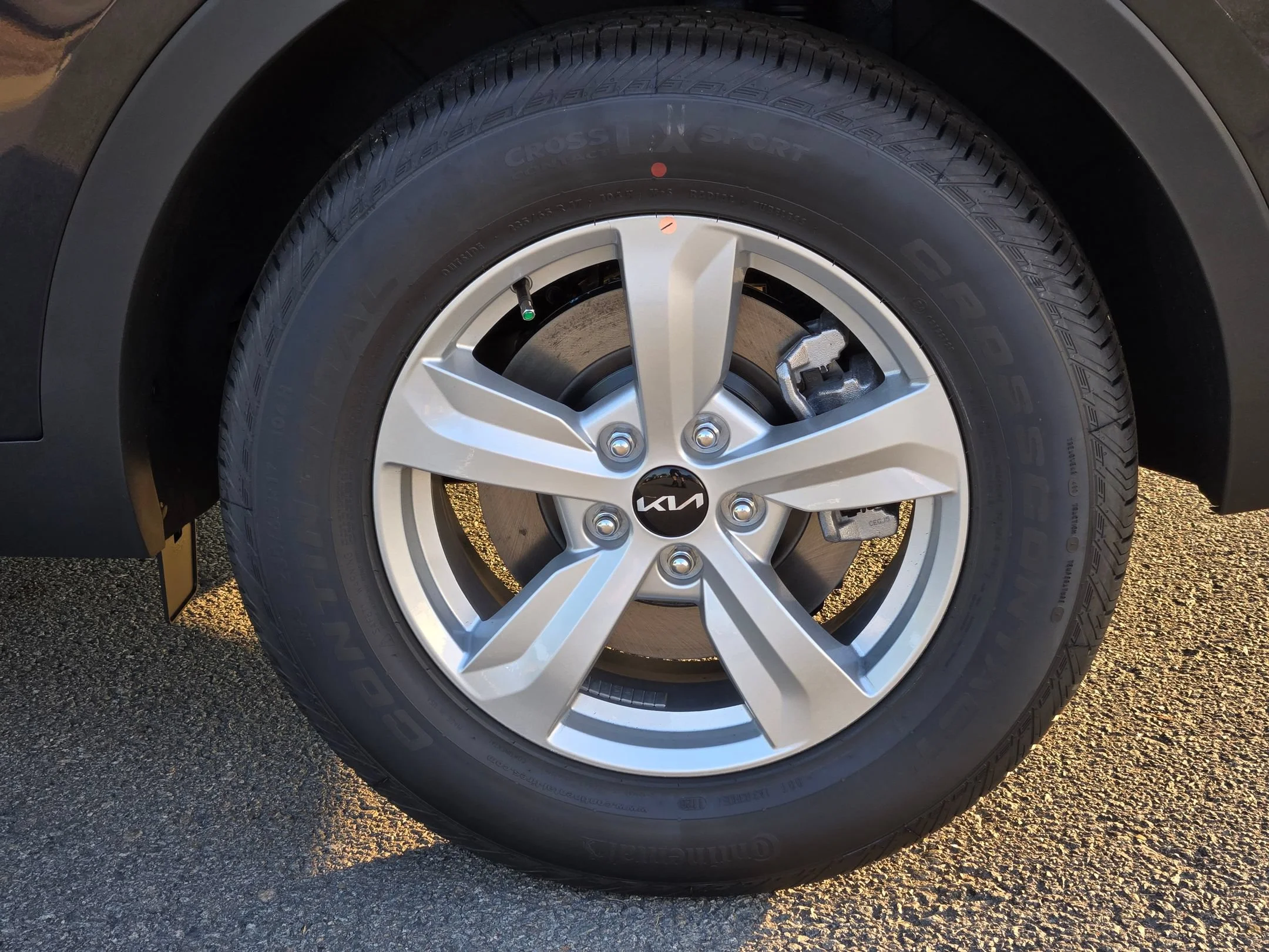 New 2026 Panthera Metal Kia LX image 13