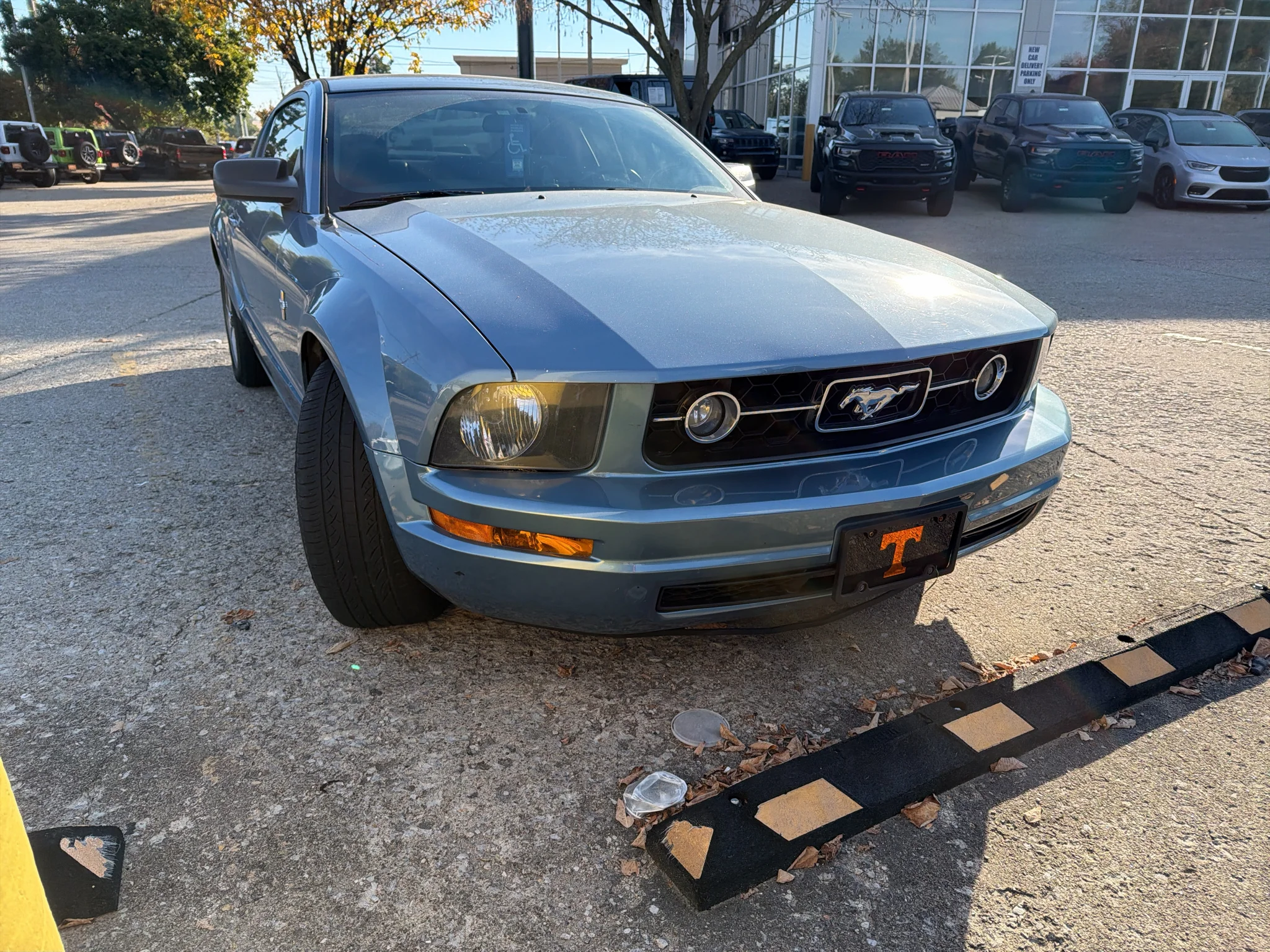 Used 2005 Windveil Blue Clearcoat Metallic Ford Deluxe image 4
