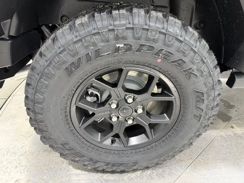 New 2026 Anvil Clear-Coat Exterior Paint Jeep Willys image 8