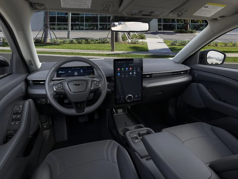 New 2026 Shadow Black Ford Premium image 24