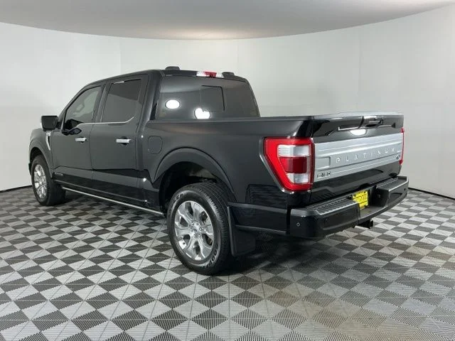 2022 Ford F-150 Platinum - Photo 6