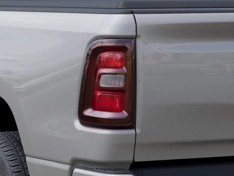 New 2026 Silver Zynith Exterior Paint RAM  image 9