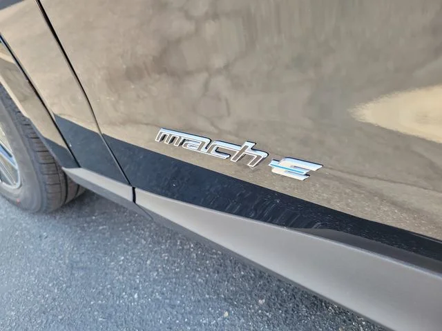 New 2026 Shadow Black Ford Premium image 8