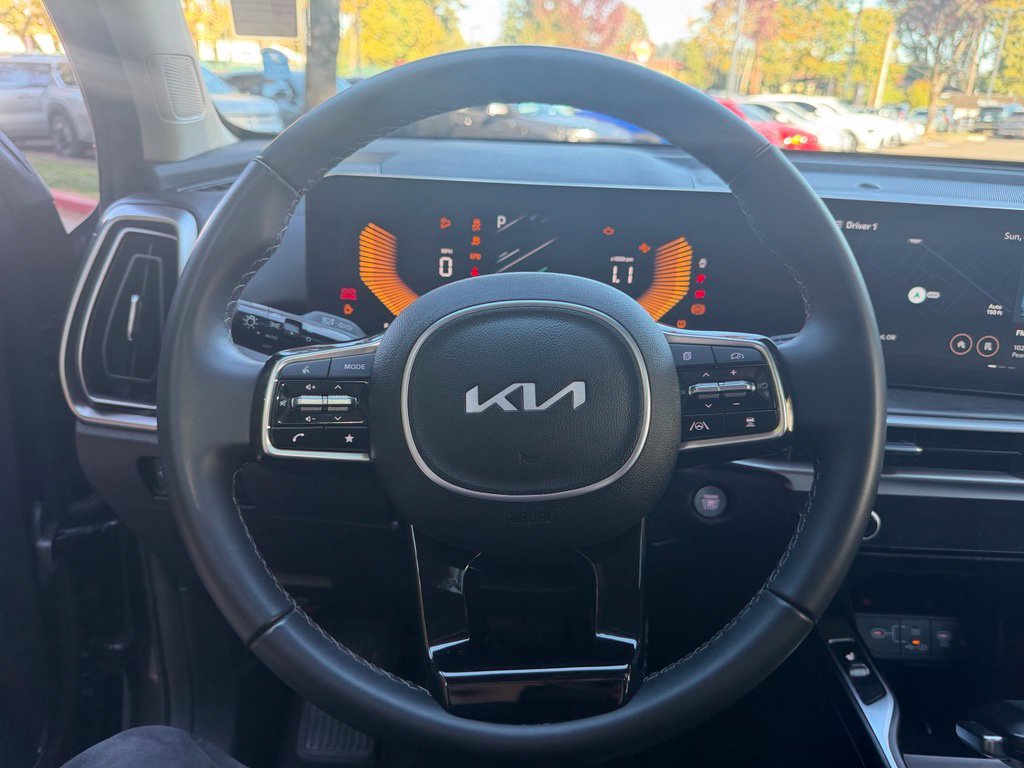 Used 2025 Panthera Metal Kia X-Line EX image 18