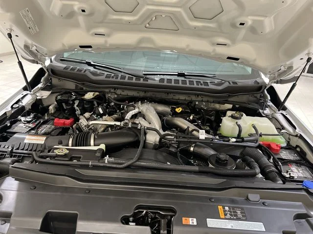 New 2026 White Ford  image 22