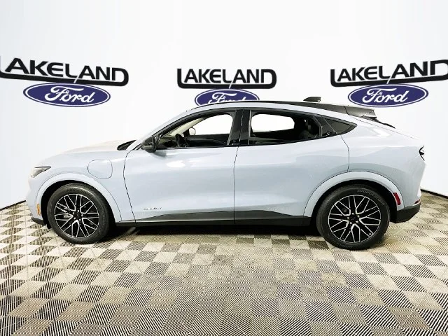 New 2026 Gray Ford Premium image 6