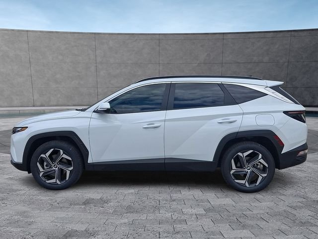 Certified Used 2024 White Hyundai SEL Convenience image 6
