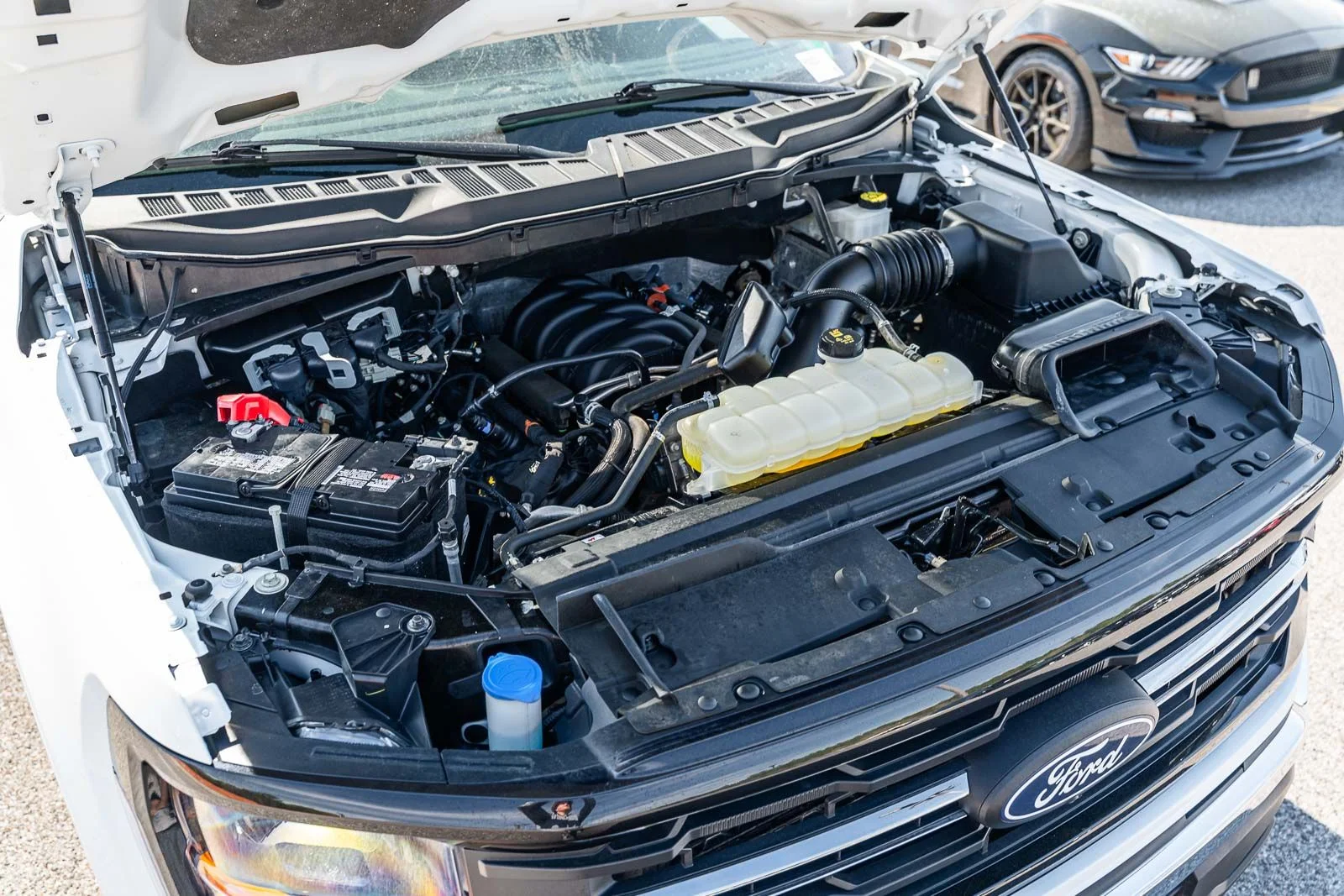 Used 2024  Ford XLT image 25