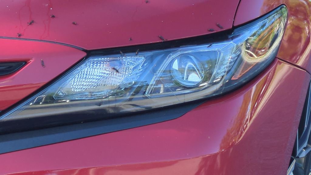 Used 2021 Red Toyota SE image 9