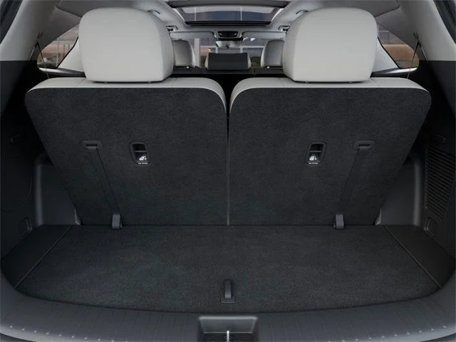 New 2025 Black Kia S image 19