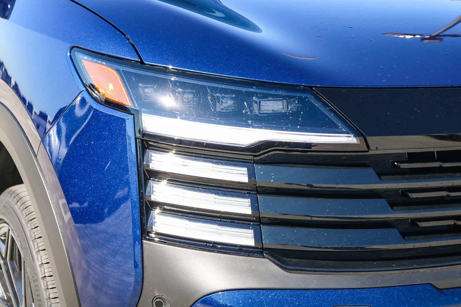 New 2026 Deep Blue Pearl Nissan SR image 4